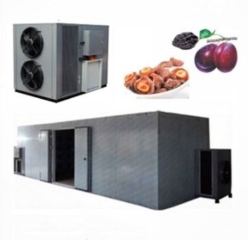 quality High Efficiency Commercial Food Dehydrator Use Apricot Fruit Heat Pump Drying Machine factory